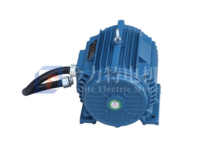 YE3 系列高效率三相異步電動(dòng)機(jī)